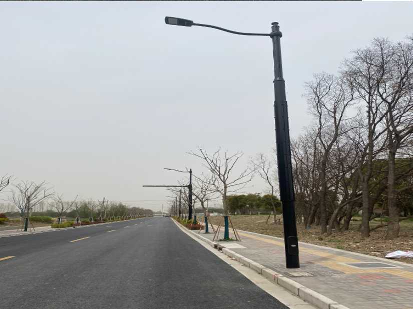 天宁区上海综合杆 太阳能路灯工程